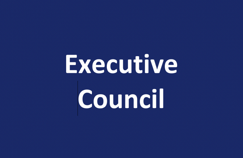 All members of the Executive Council will receive full details including Zoom login.  Any queries, please email