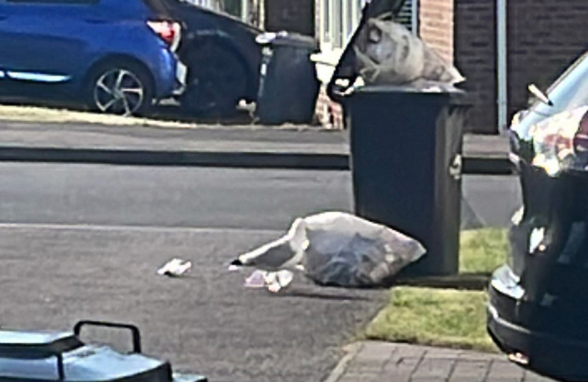 unemptied bins in Stone Cross near Eastbourne